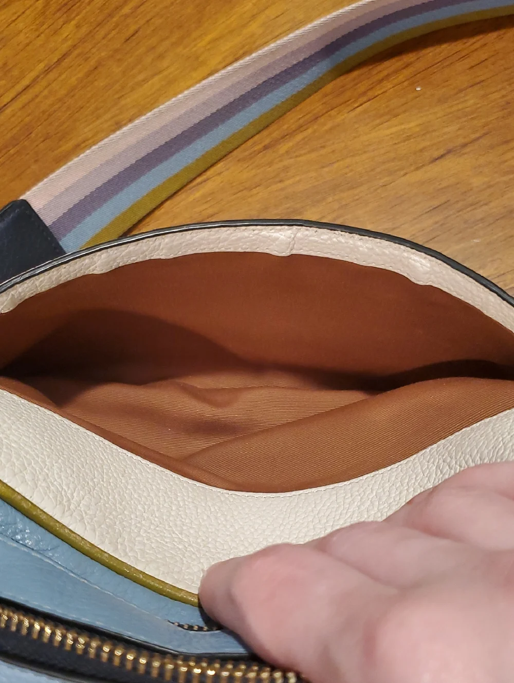 Coach multicolor pebbled